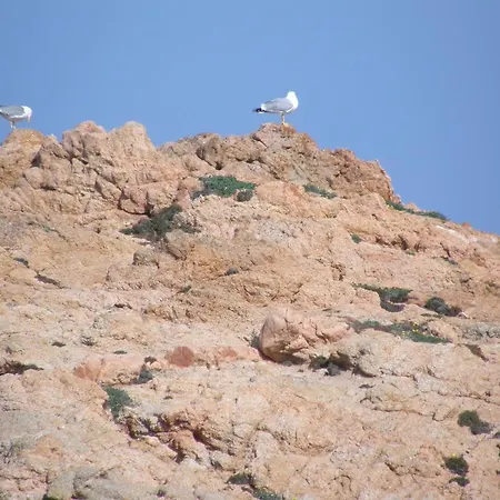 Superior Isola Rossa (Sassari)