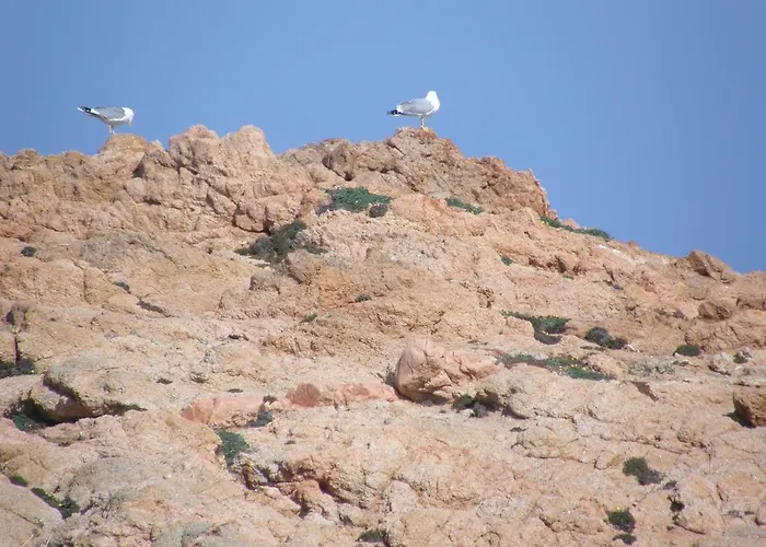 Superior Isola Rossa