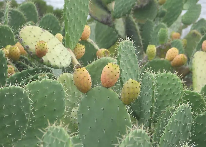 Superior Apartmanhotel